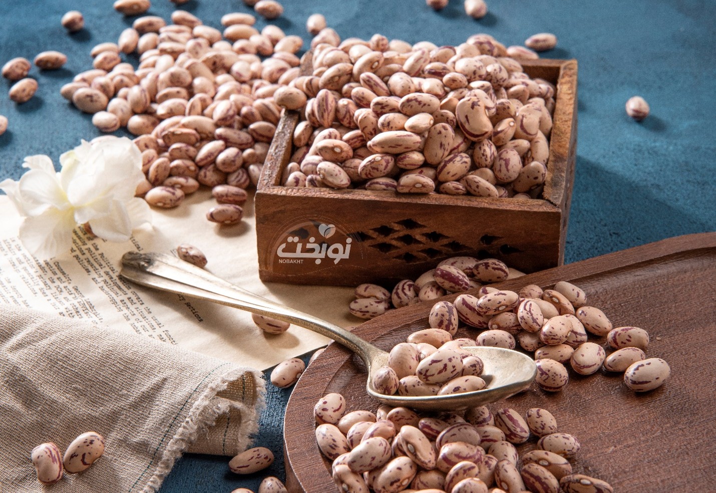 لوبیا چیتی ازبکستان؛ برگ برنده تولیدکنندگان صنعت کنسرو ایران | نوبخت لوبیا چیتی ازبکستان؛ برگ برنده تولیدکنندگان صنعت کنسرو ایران | نوبخت